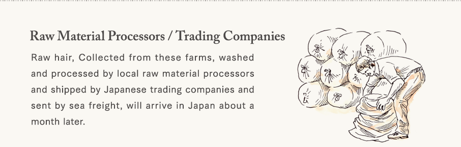 [Raw Material Processors/Trading Companies] Raw hair, Collected from these farms, washed and processed by local raw material processors and shipped by Japanese trading companies and sent by sea freight, will arrive in Japan about a month later.