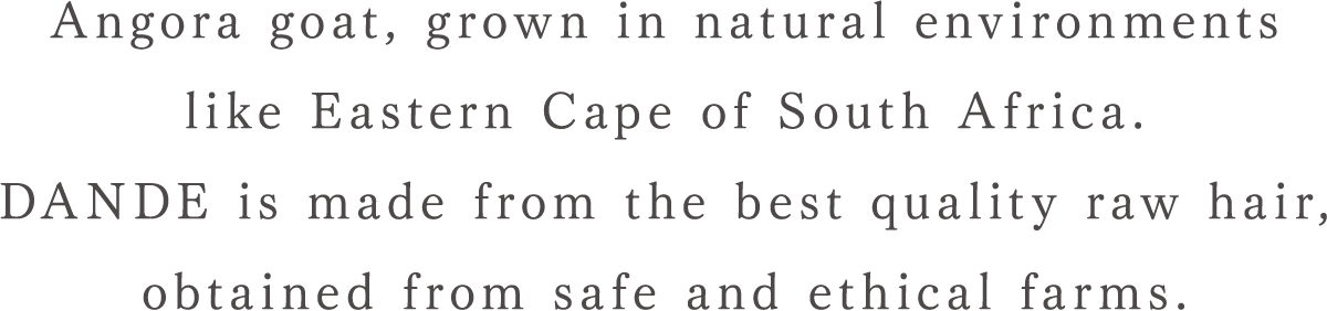 Angora goat, grown in natural environments
like Eastern Cape of South Africa. DANDE is made from the best quality raw hair, obtained from safe and ethical farms.