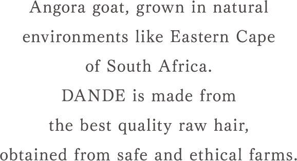Angora goat, grown in natural environments
like Eastern Cape of South Africa. DANDE is made from the best quality raw hair, obtained from safe and ethical farms.