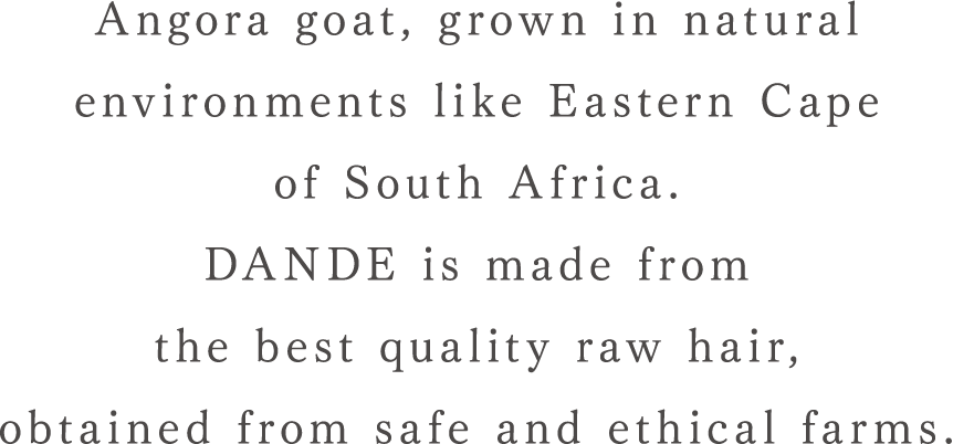 Angora goat, grown in natural environments
like Eastern Cape of South Africa. DANDE is made from the best quality raw hair, obtained from safe and ethical farms.