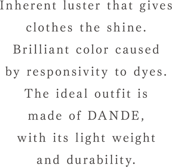 Inherent luster that gives clothes the shine. Brilliant color caused by responsivity to dyes. The ideal outfit is made of DANDE, with its light weight and durability.