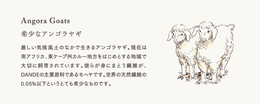【希少なアンゴラヤギ】厳しい気候風土のなかで生きるアンゴラヤギ。現在は南アフリカ、東ケープ州カルー地方をはじめとする地域で大切に飼育されています。彼らが身にまとう繊維が、DANDEの主要原料であるモヘヤです。世界の天然繊維の0.05%以下というとても希少なものです。