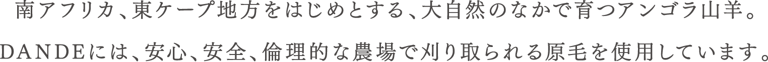 南アフリカ、東ケープ地方をはじめとする、大自然のなかで育つアンゴラ山羊。DANDEには、安心、安全、倫理的な農場で刈り取られる原毛を使用しています。