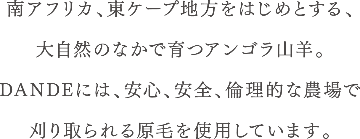 南アフリカ、東ケープ地方をはじめとする、大自然のなかで育つアンゴラ山羊。DANDEには、安心、安全、倫理的な農場で刈り取られる原毛を使用しています。