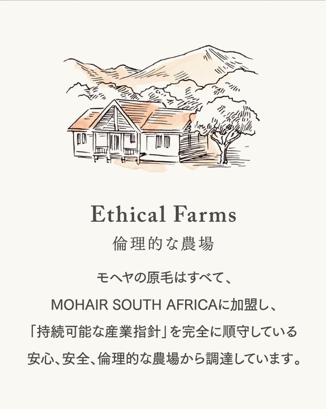 【倫理的な農場】モヘヤの原毛はすべて、MOHAIR SOUTH AFRICAに加盟し、「持続可能な産業指針」を完全に順守している安心、安全、倫理的な農場から調達しています。