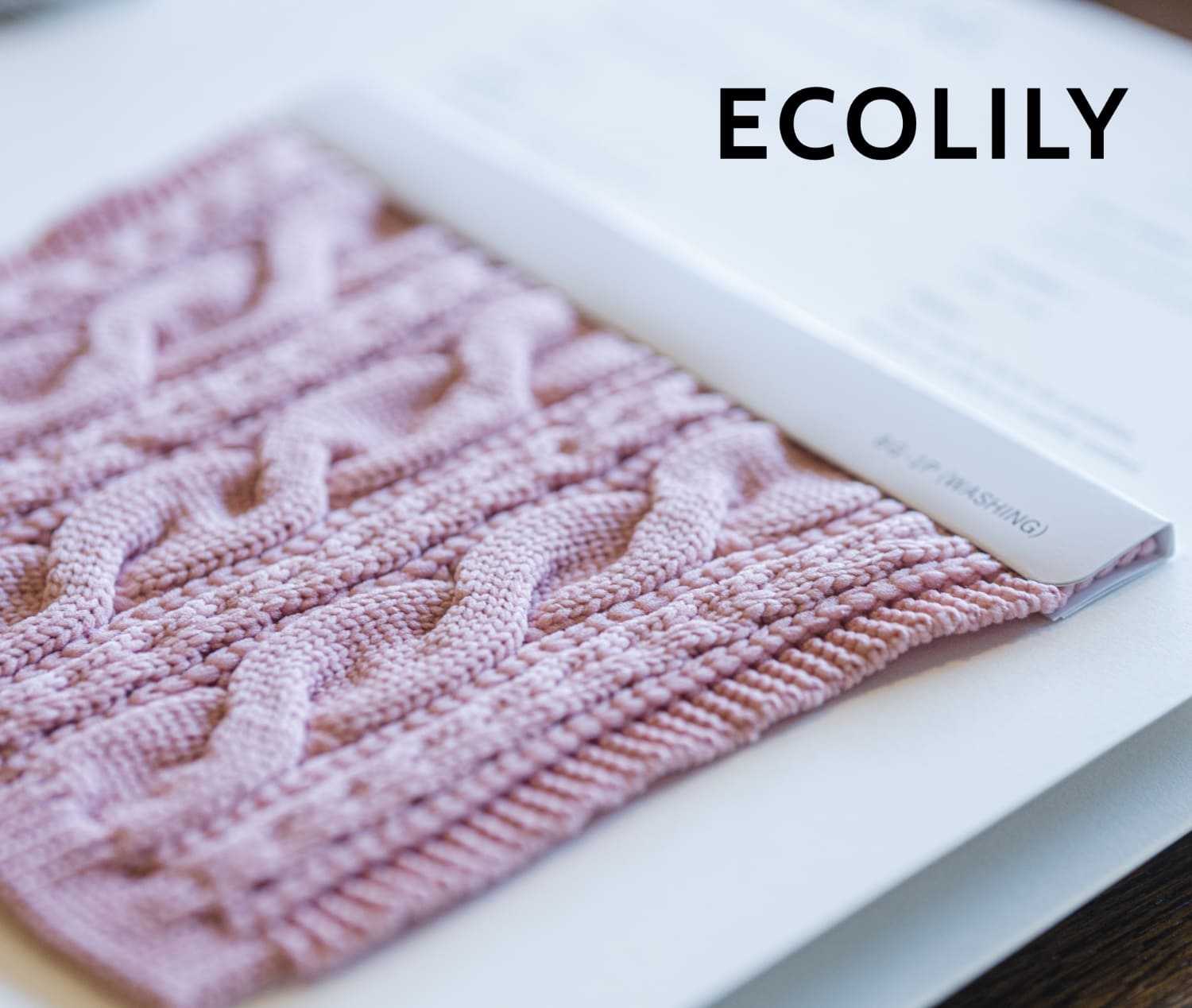 ECOLILY